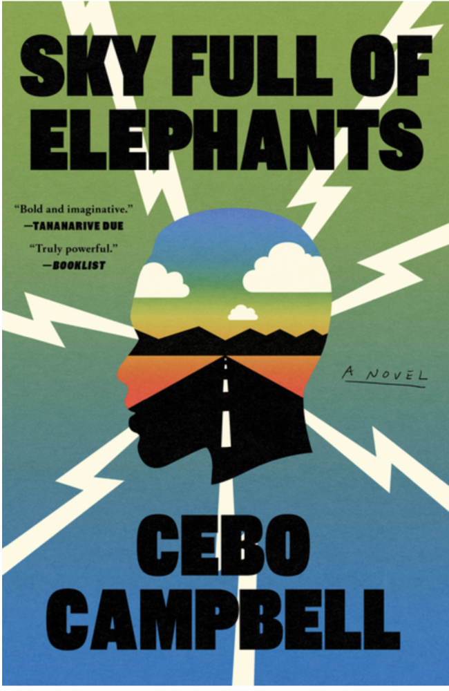 Cover of Sky Full of Elephants by Cebo Campbell
